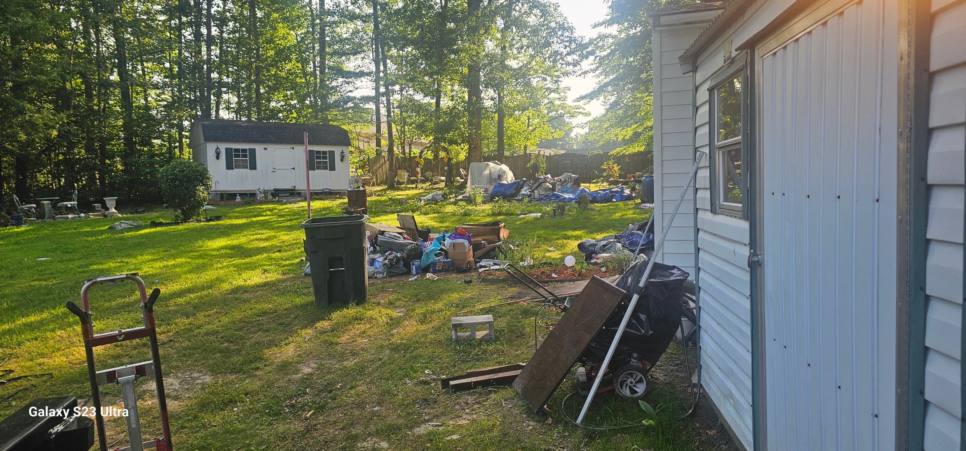 Project Yard Cleanout That Clears the Whole Property image