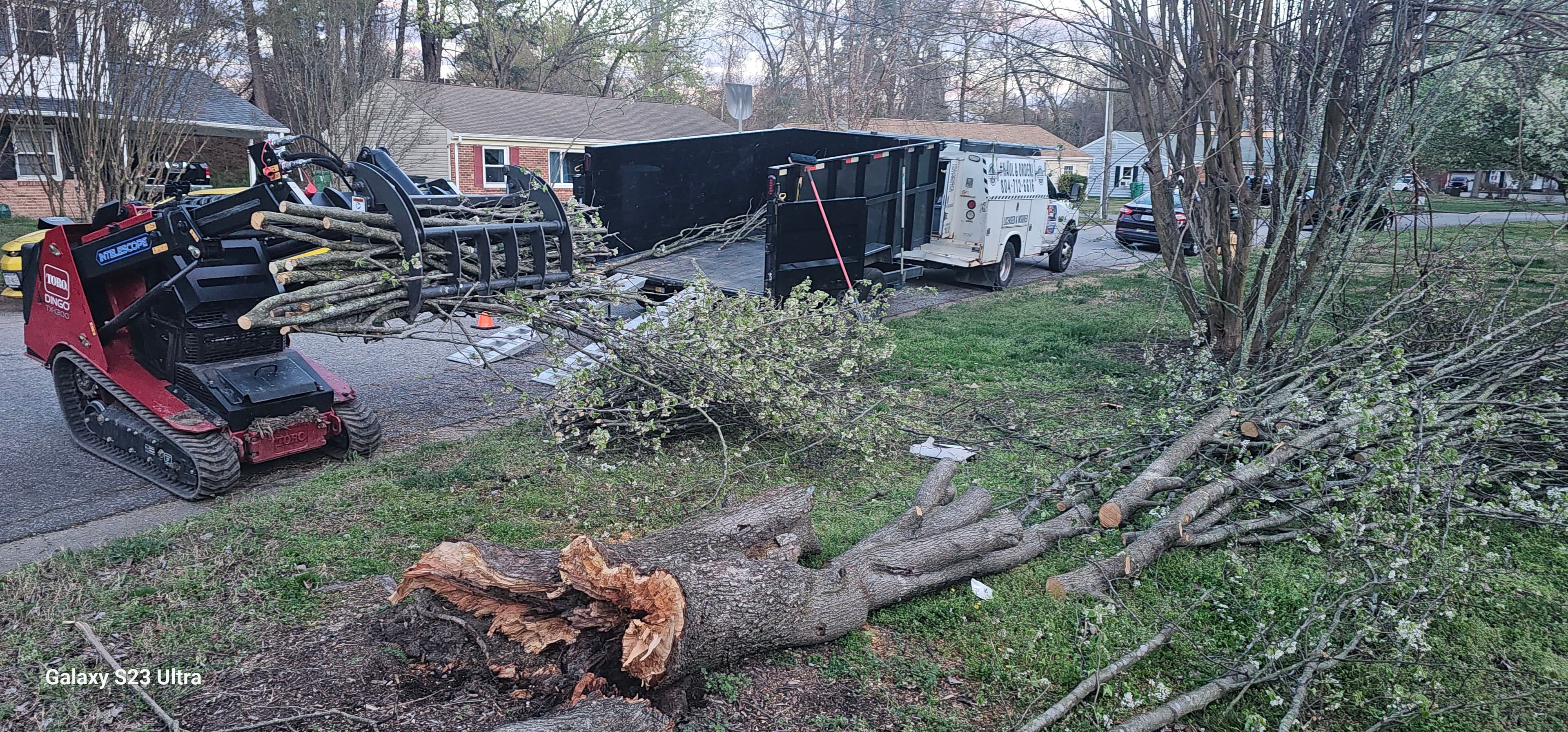 Project Fallen Tree Removal in Colonial Heights VA image