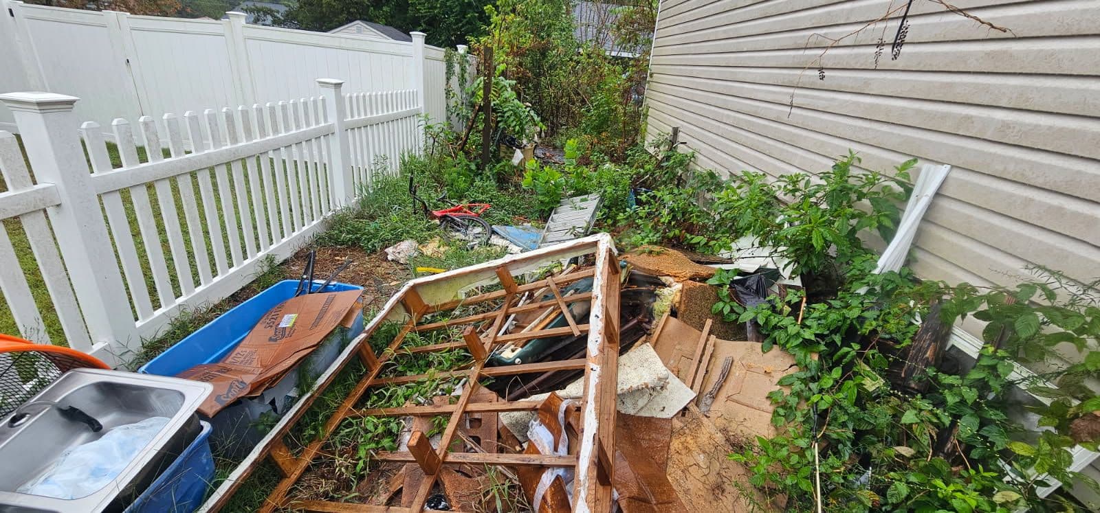 Transform Your Yard with Professional Cleanouts image