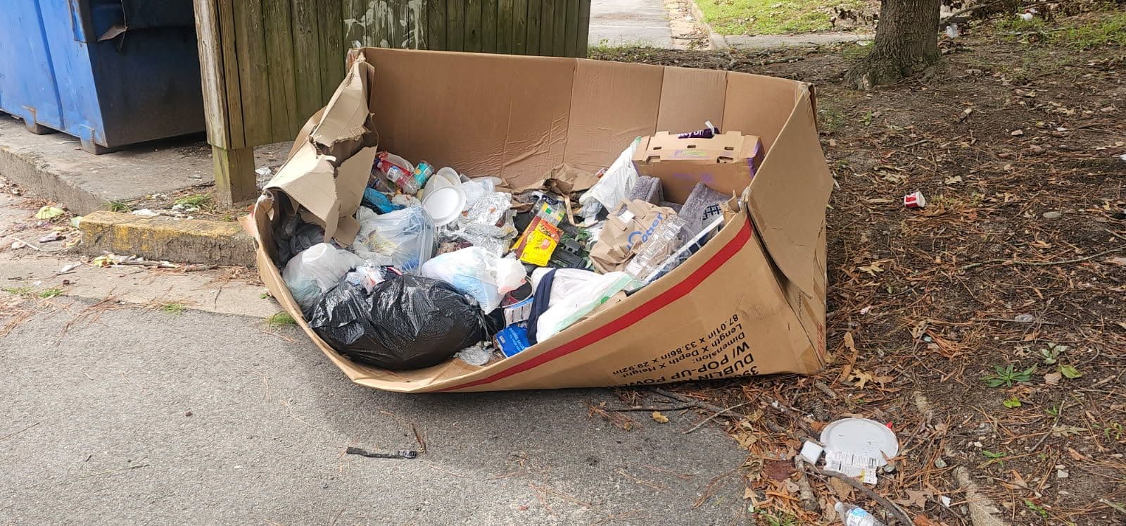 Project Efficient Junk Removal for a Cleaner Space image