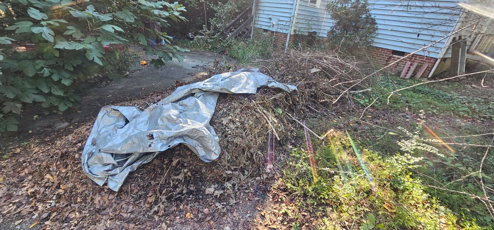 Project Swift Yard Cleanup in Chesterfield County image