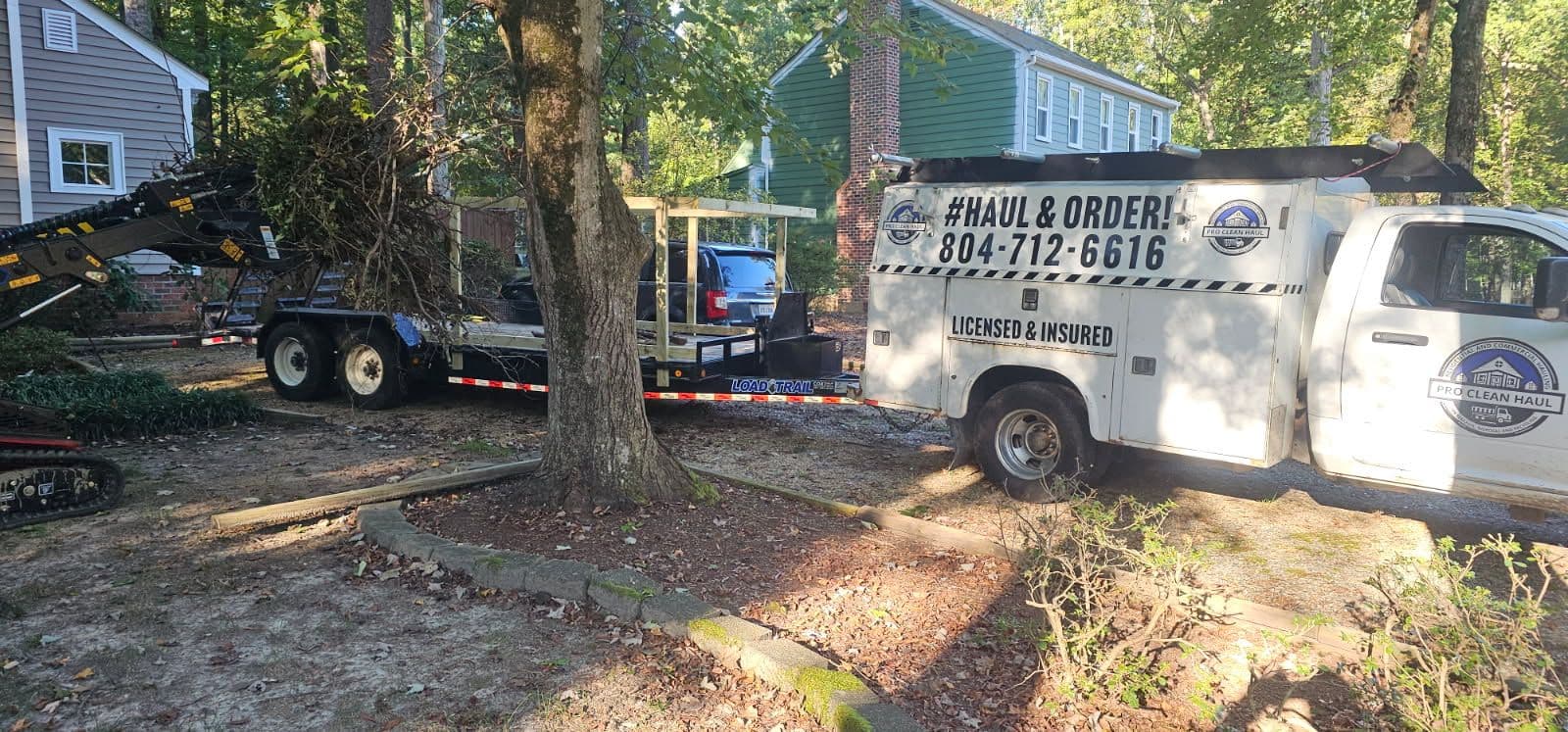 Project Efficient Fallen Tree and Debris Removal in Chesterfield County image