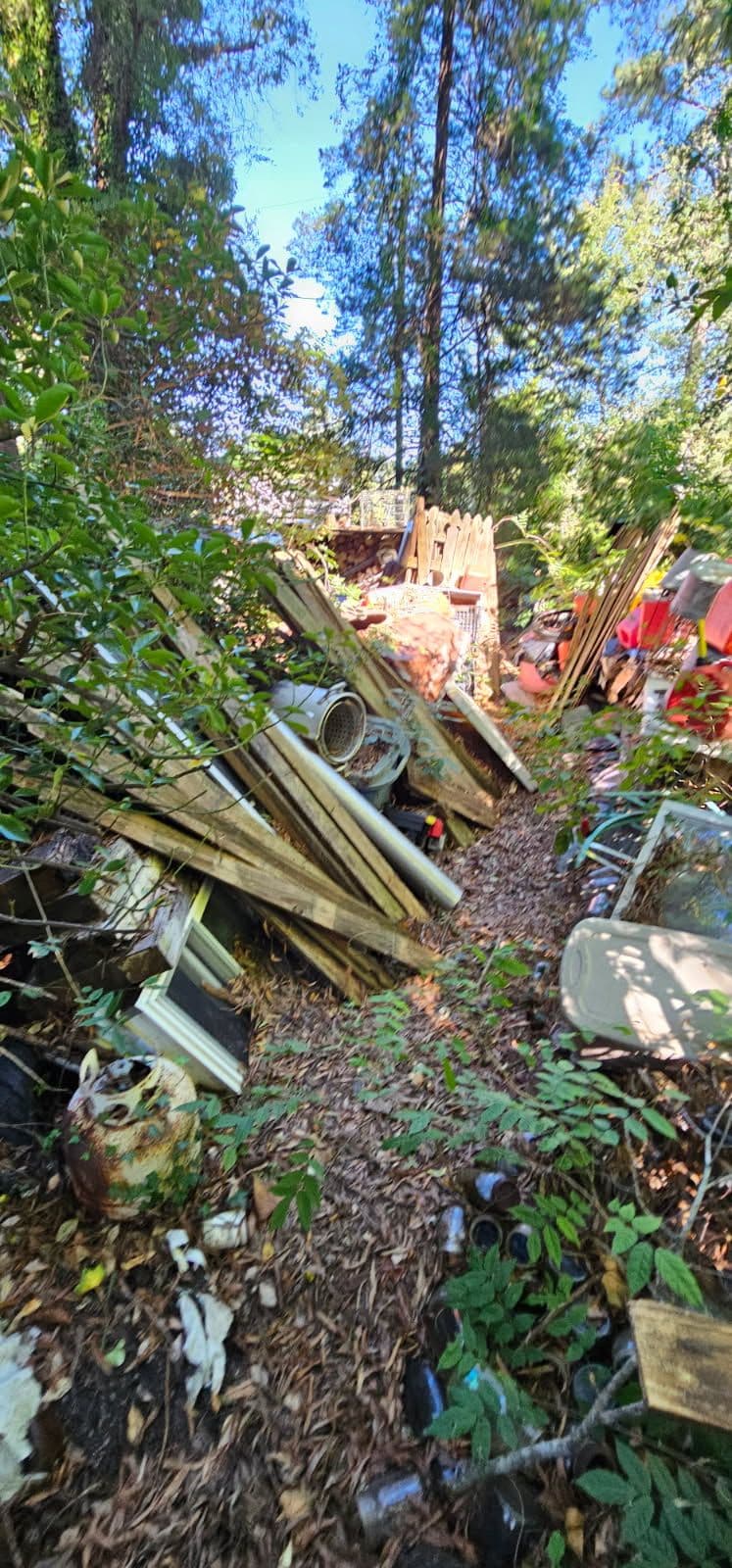 Clearing Clutter in Colonial Heights
