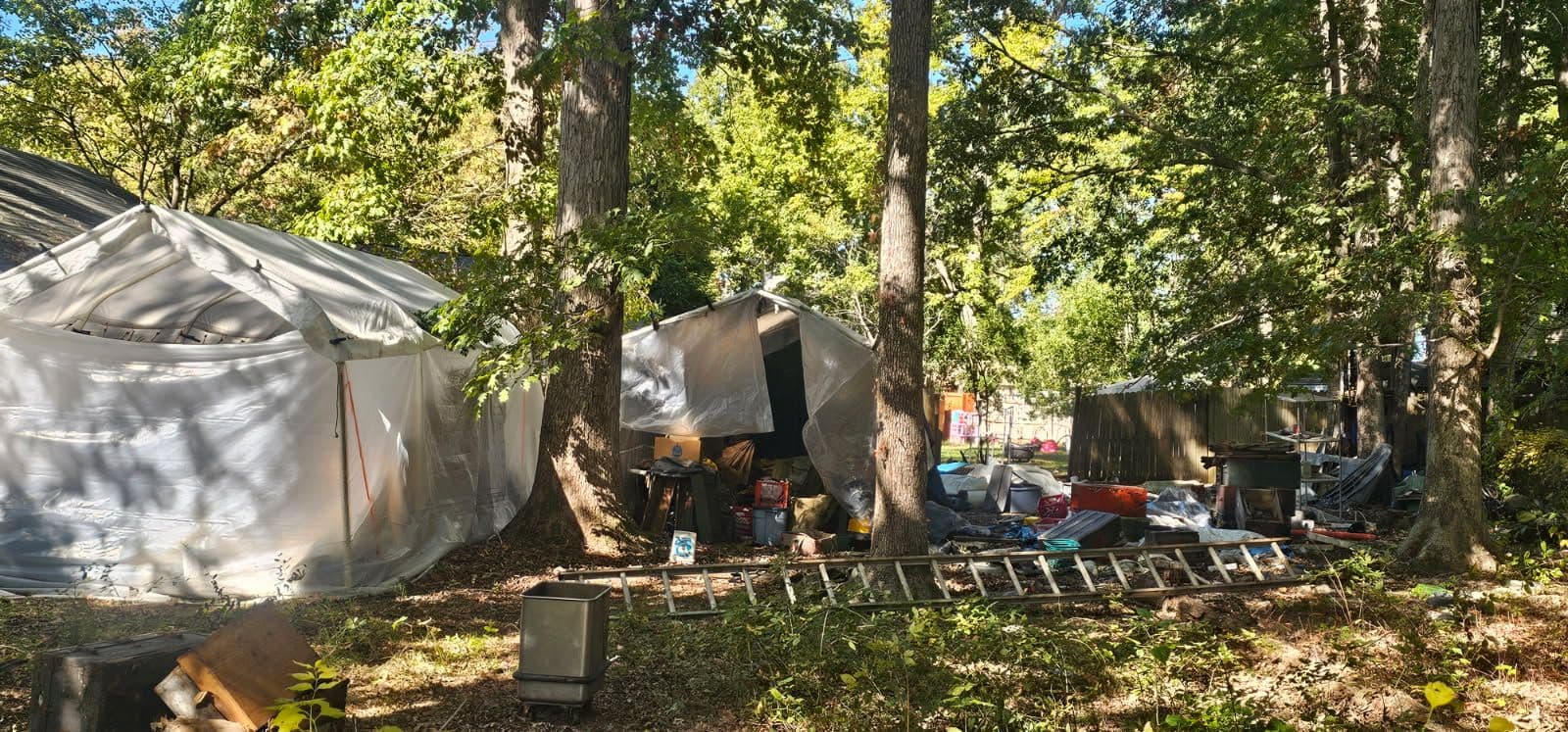 Project Tackling Backyard Clutter with PRO Clean Haul image