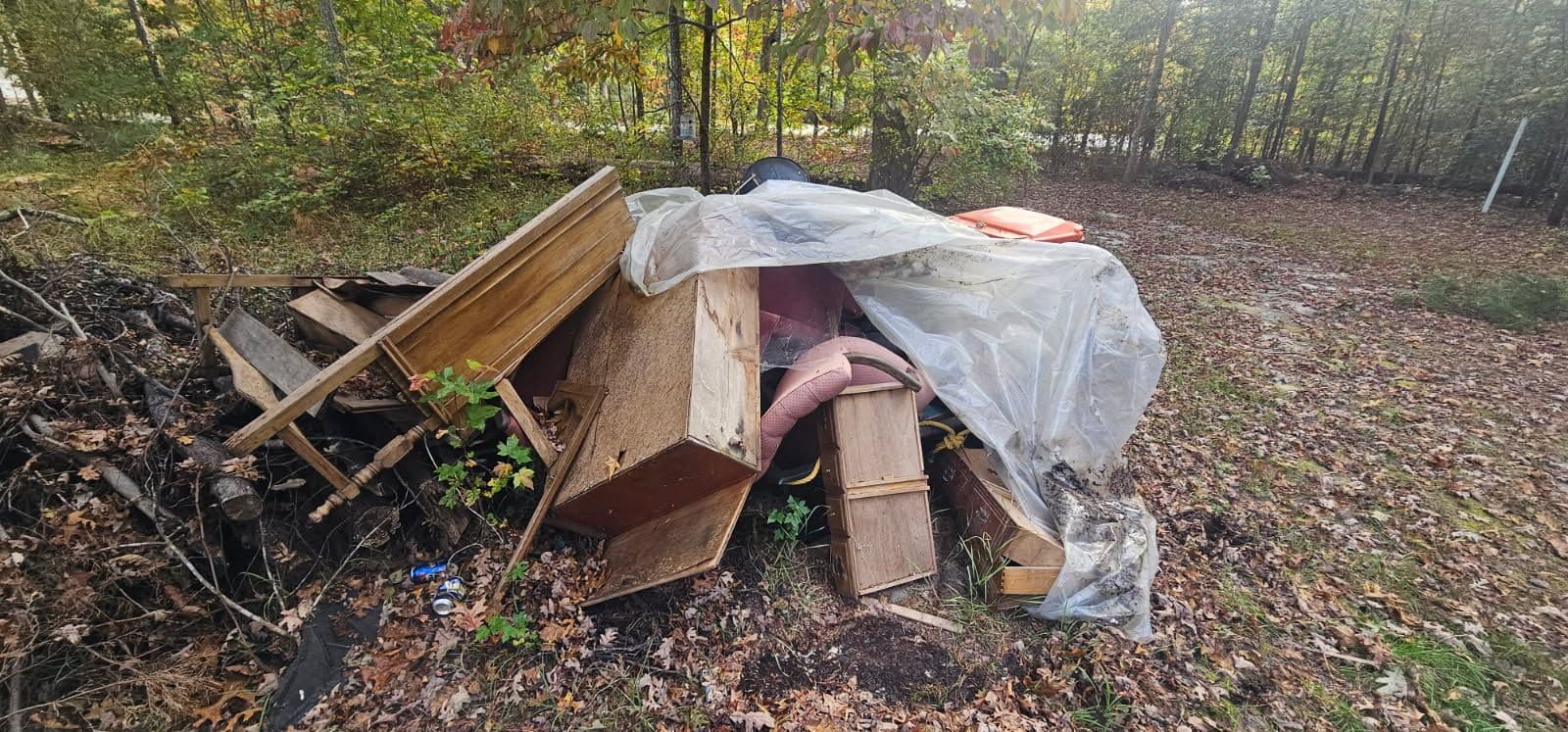 Tackling Yard Clutter with Pro Clean Haul image