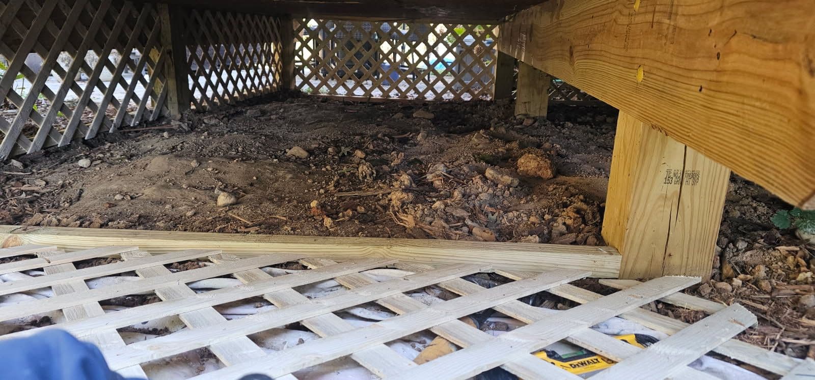 Project Lattice Installation and Debris Clear-Out in Richmond image