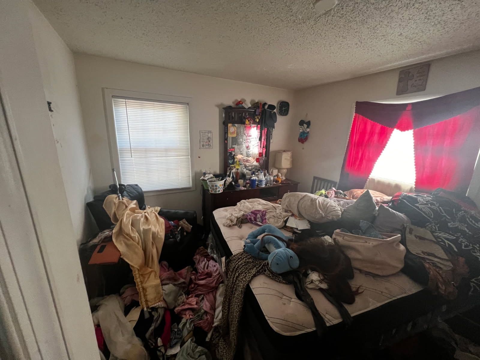 Project Bedroom Clutter Cleanup by Pro Clean Haul image