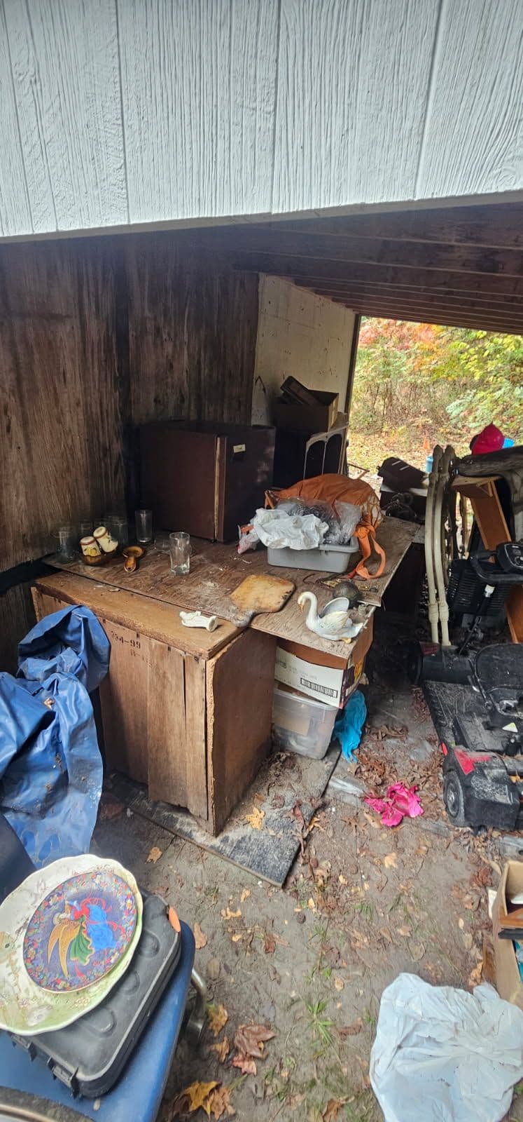 Project Decluttering Mastery with Pro Clean Haul image