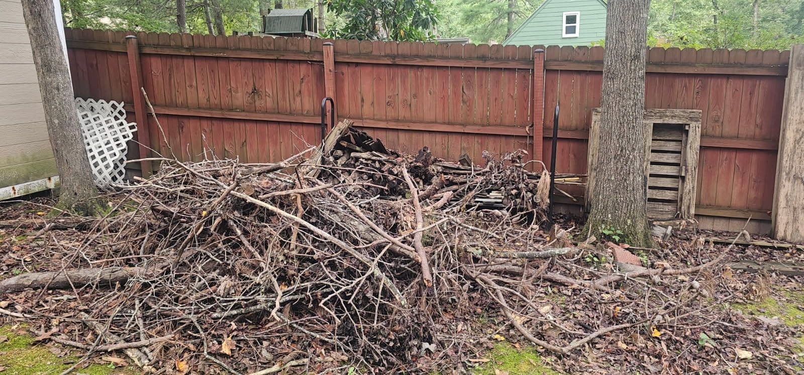 Project Yard Debris Removal Transforms Backyard image