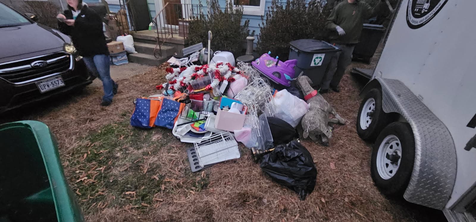 Project Efficient Yard Cleanout with Pro Clean Haul image