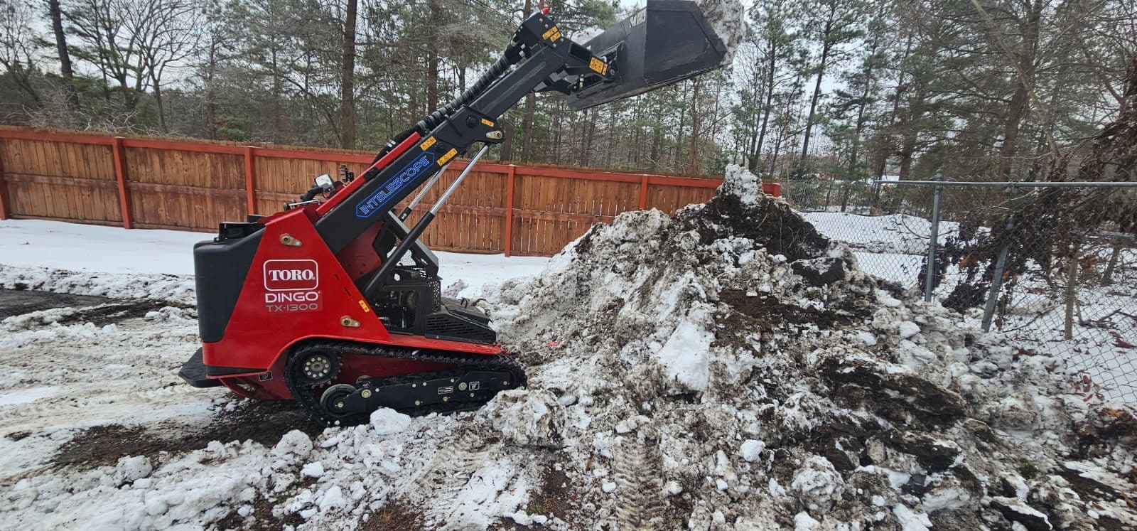 Winter Challenges Meet Their Match with Our Toro Dingo