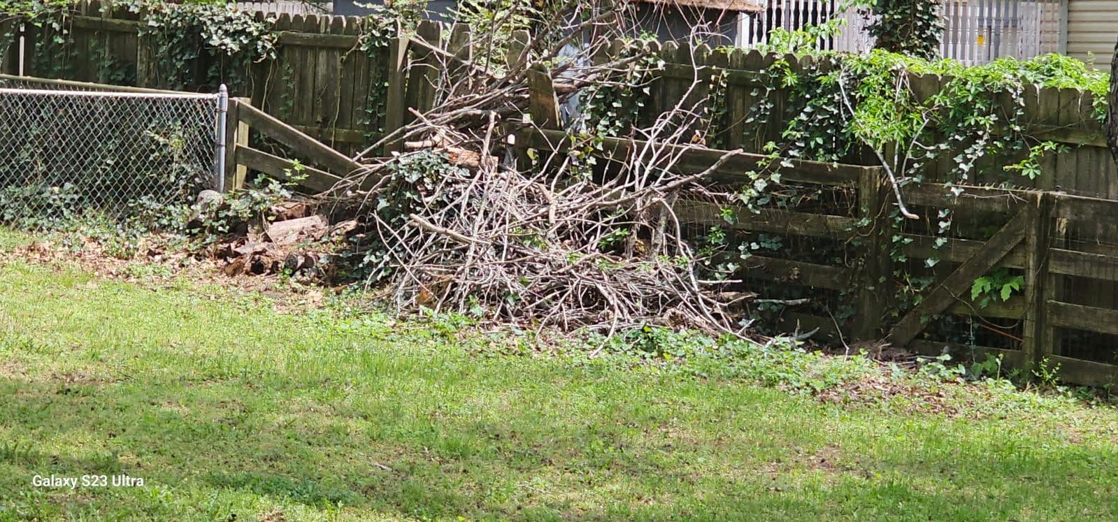Efficient Brush Removal Service in Richmond