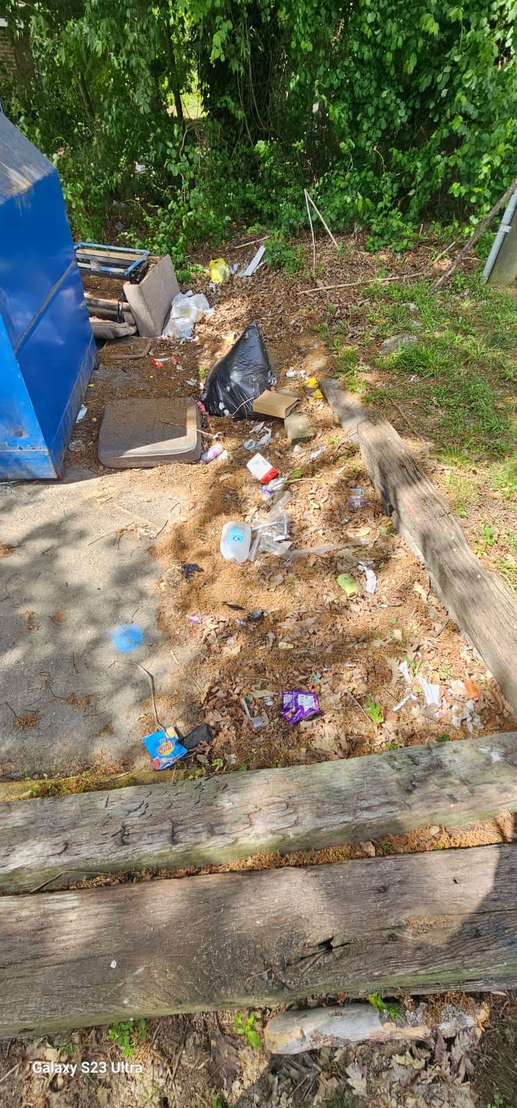 Project Expert Dumpster Enclosure Cleanups Colonial Heights image