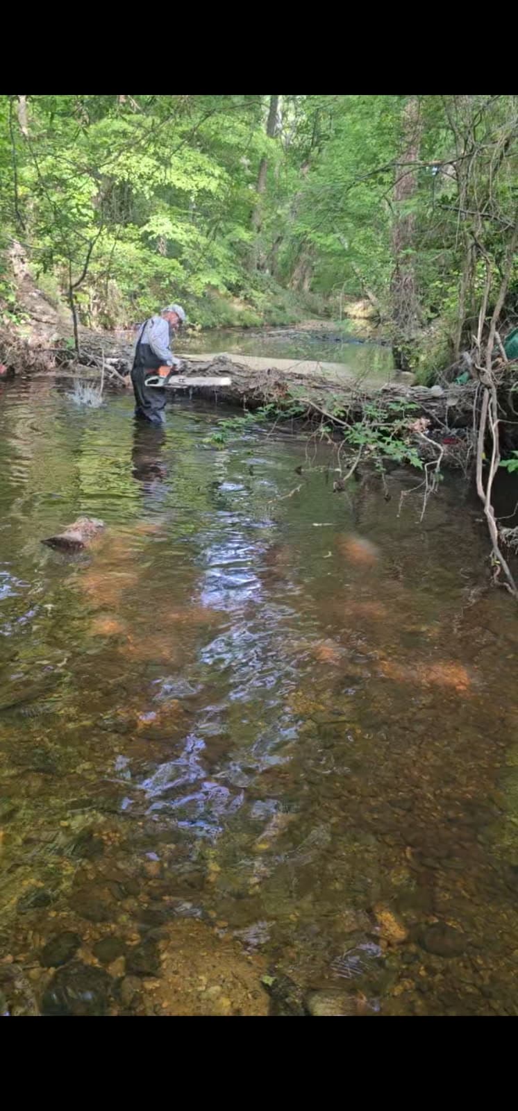 Swift Stream Cleaning with Pro Clean Haul LLC