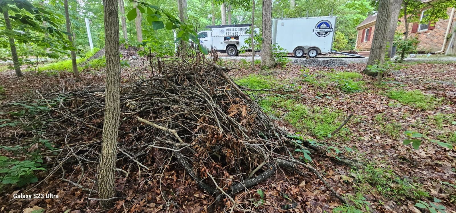 Efficient Brush Removal Service in Chesterfield