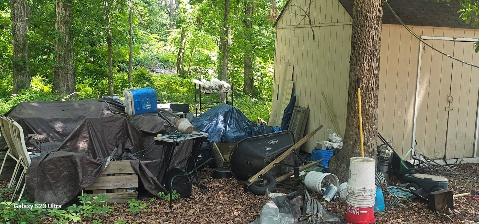 Expert Yard Cleanup in Colonial Heights image