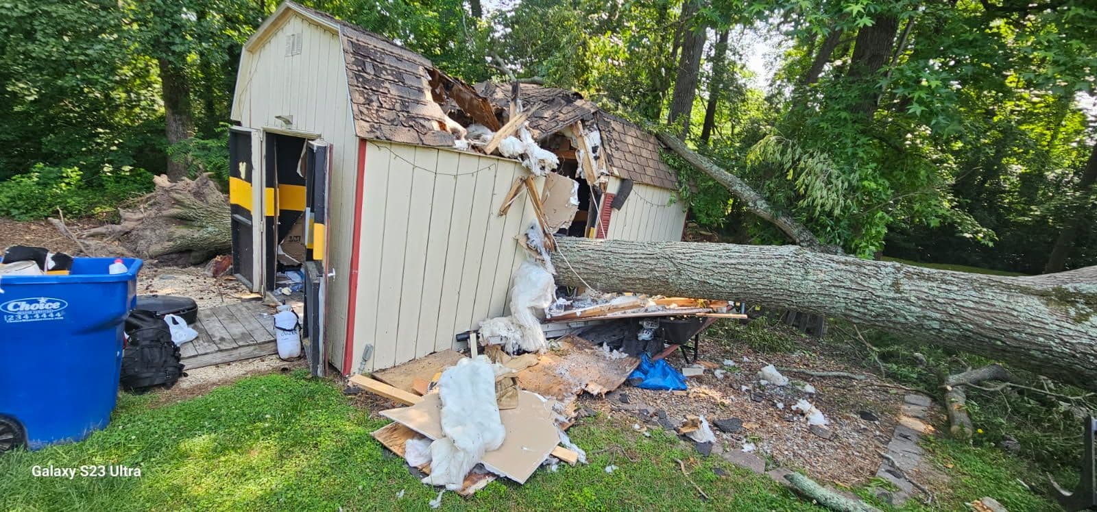 Swift Shed Demolition and Tree Cleanup in Chesterfield image