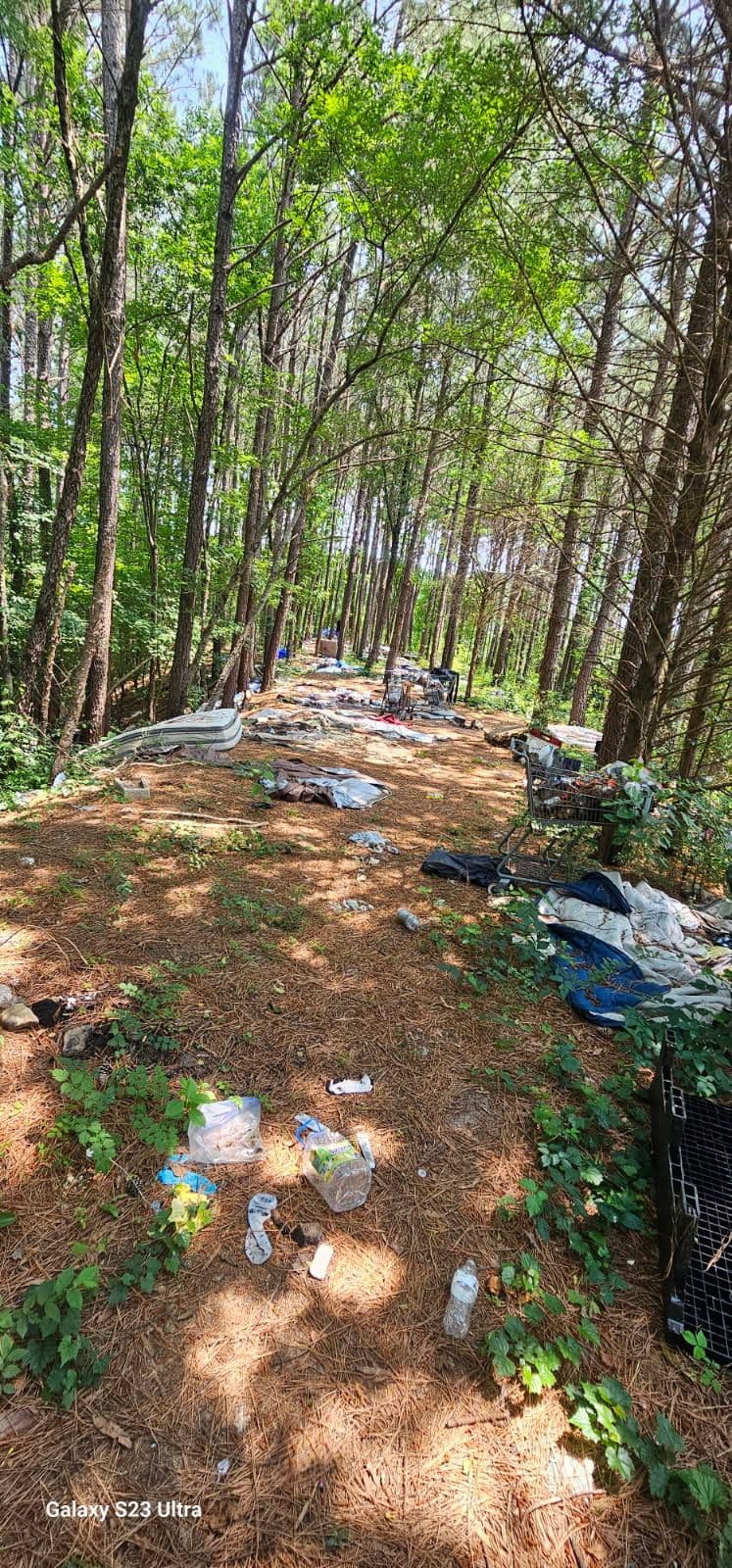Project Revive Your Forest Retreat in Hopewell image