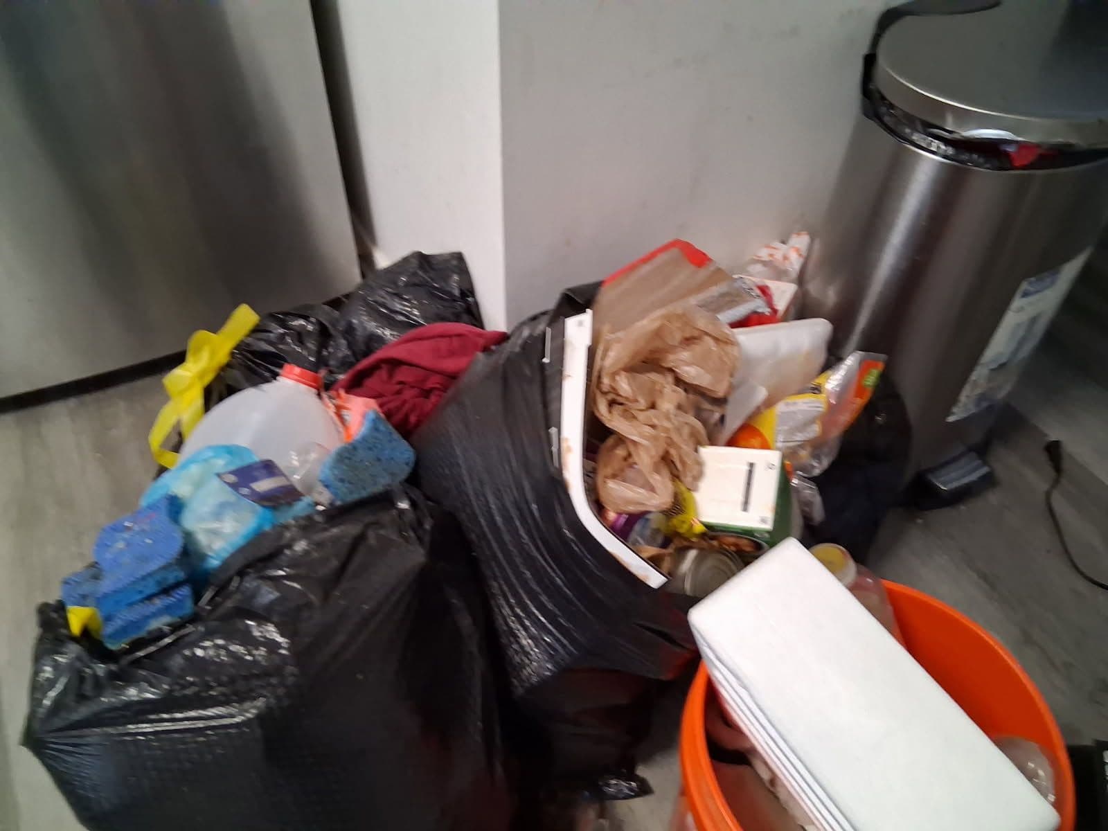 Efficient Junk Removal with Pro Clean Haul image