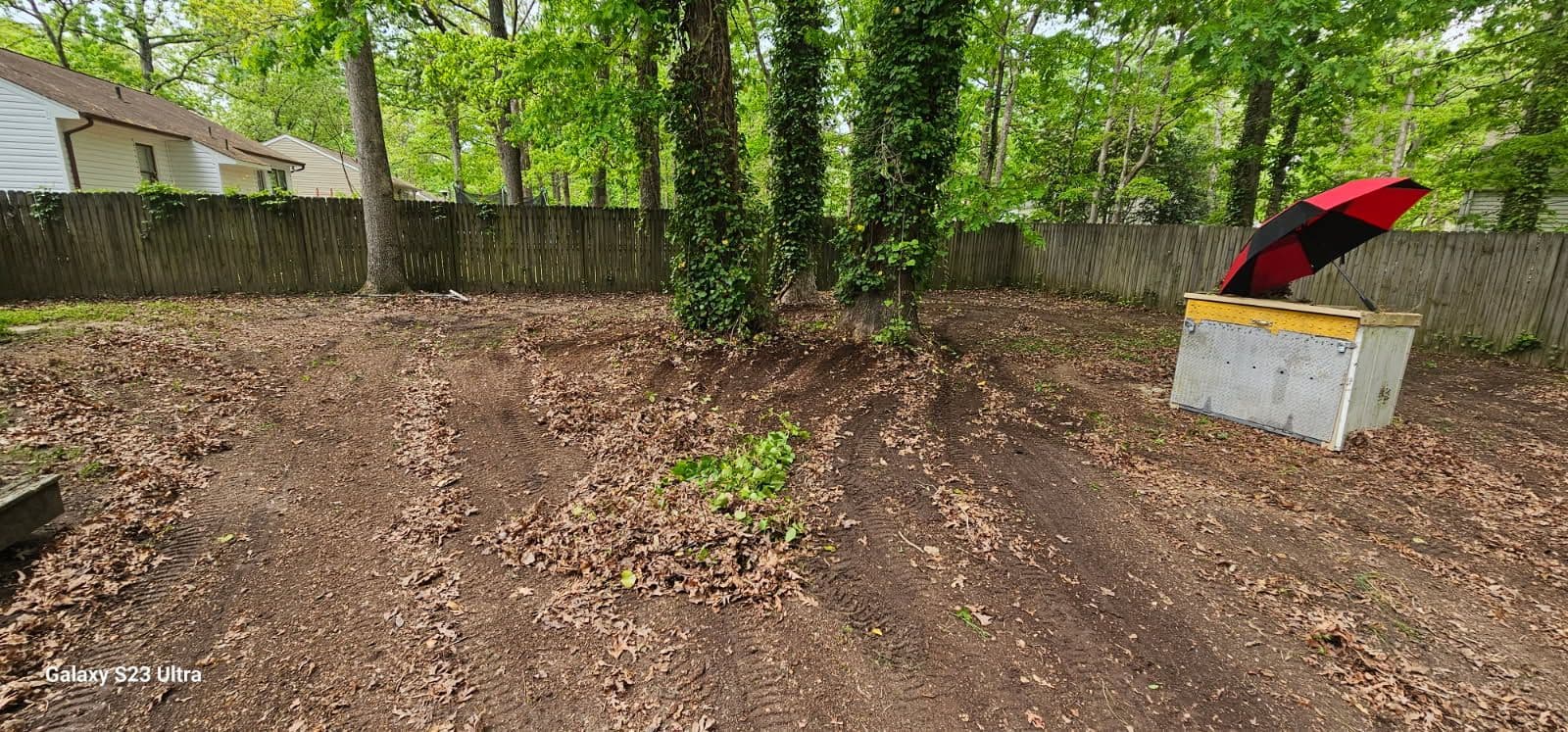 Restore Your Backyard with Pro Clean Haul image