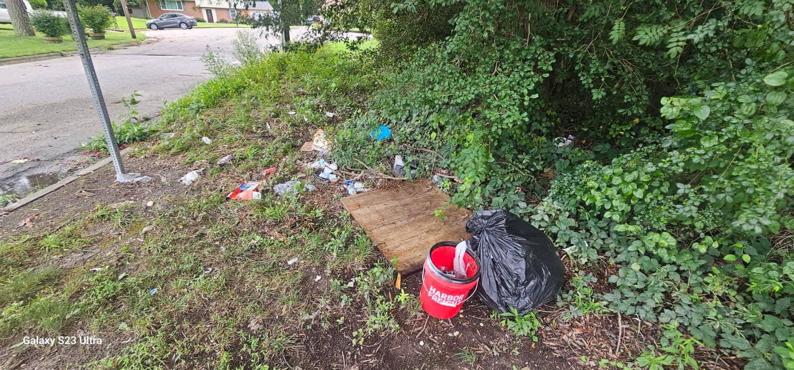 Pro Clean Haul Keeps Neighborhoods Beautiful image