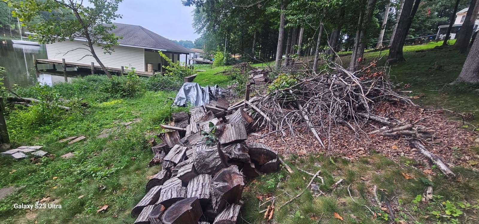Efficient Fallen Tree Cleanup in Chesterfield image