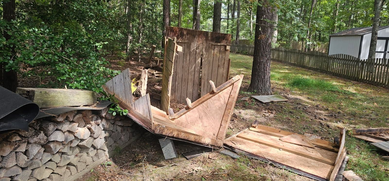 Say Goodbye to Backyard Clutter with Pro Clean Haul image
